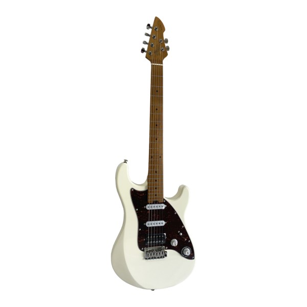 GW-WGS100-WH-1