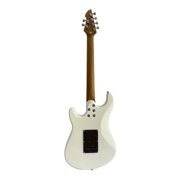 GW-WGS100-WH-2